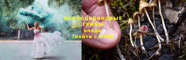 а пвп мука Алзамай