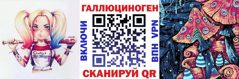 мориарти телеграм  где купить   Ладушкин  Галлюциногенные грибы Psilocybe 